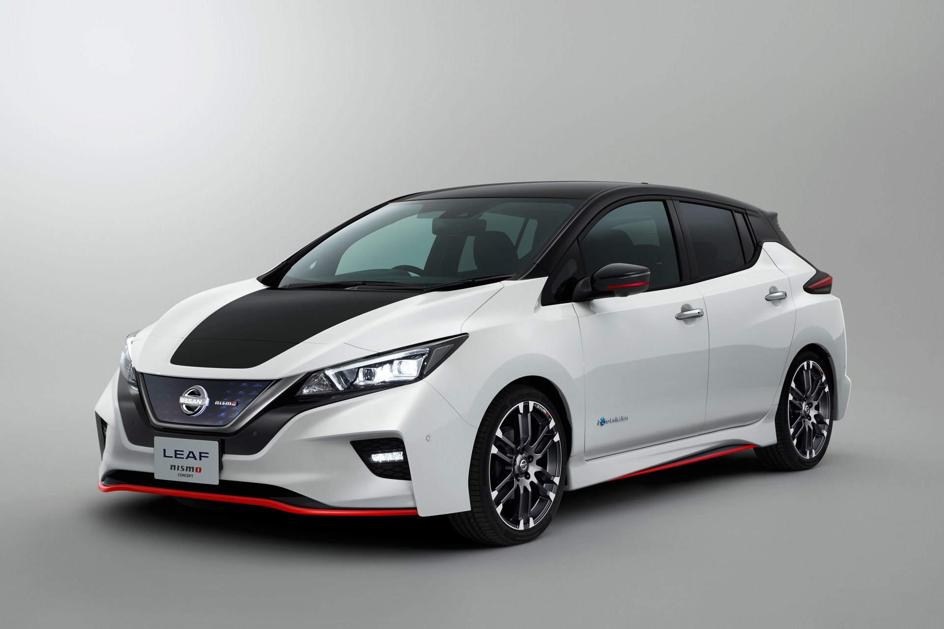 New 2019 Nissan LEAF SL SL for sale Sold at 1 Stop Leasing in Brooklyn NY 11223 1