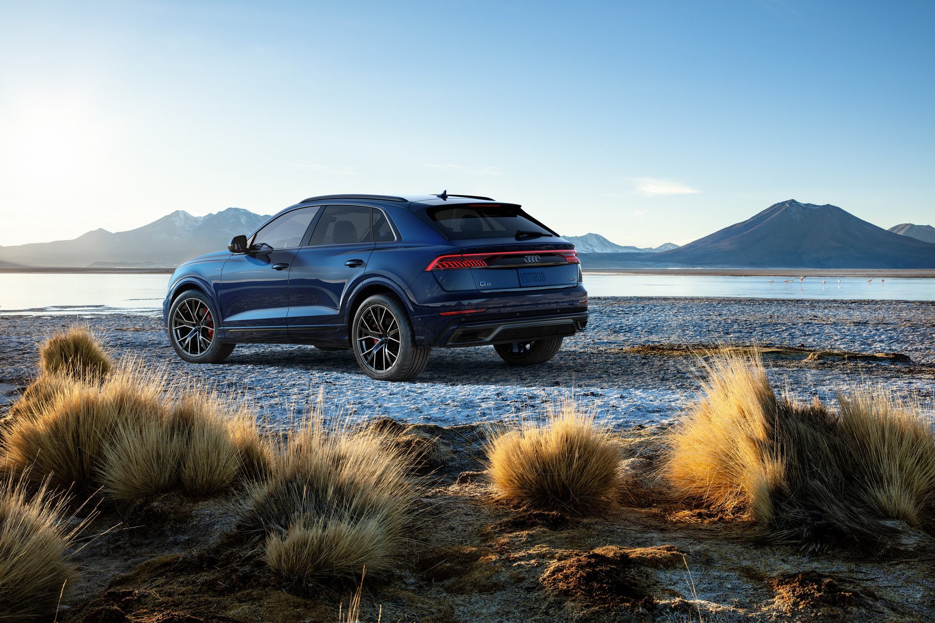 New 2019 Audi Q8 3.0T quattro Premium Plus 3.0T quattro Premium Plus for sale Sold at 1 Stop Leasing in Brooklyn NY 11223 1